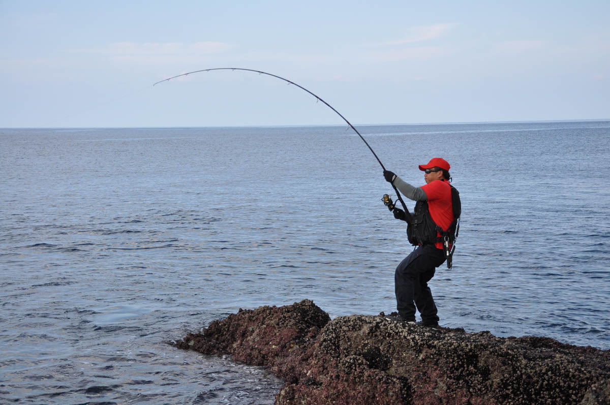 M*a様 磯釣り引退セット M*a様 磯釣り引退セット 2025年最新】釣り引退セットの人気